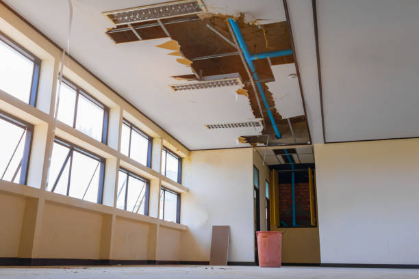 Best Ceiling water damage repair  in Morton, PA