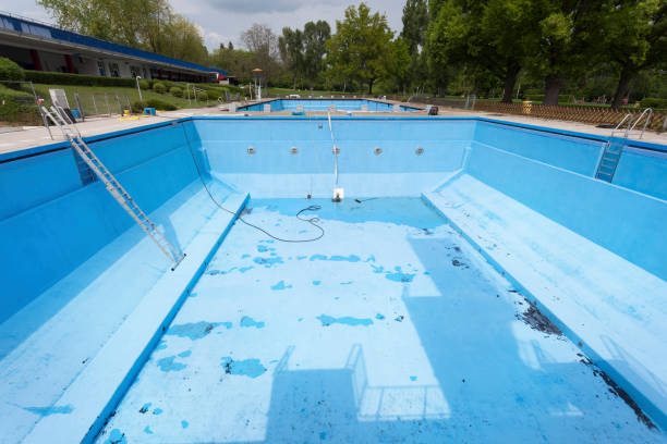 Best Mold removal after water damage  in Morton, PA