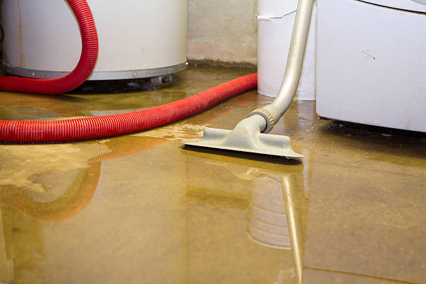 Best Water damage contractors near me  in Morton, PA