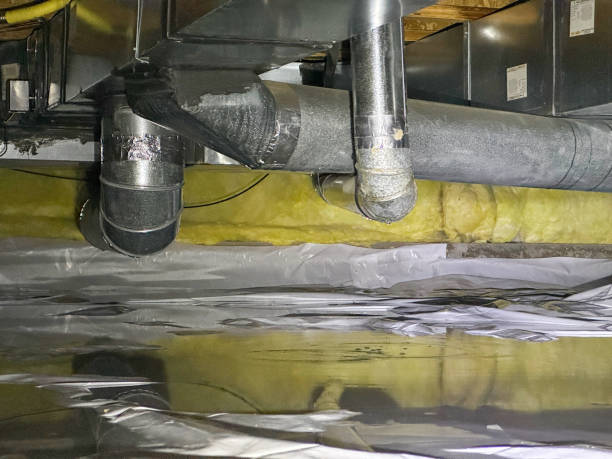 Best Water damage restoration services  in Morton, PA