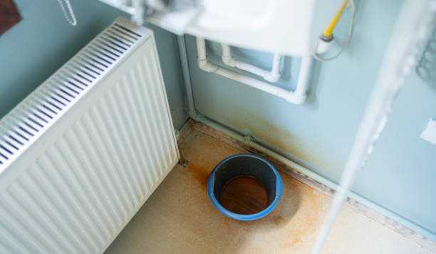 Best Basement water damage restoration  in Morton, PA